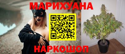 мяу мяу мука Кунгур