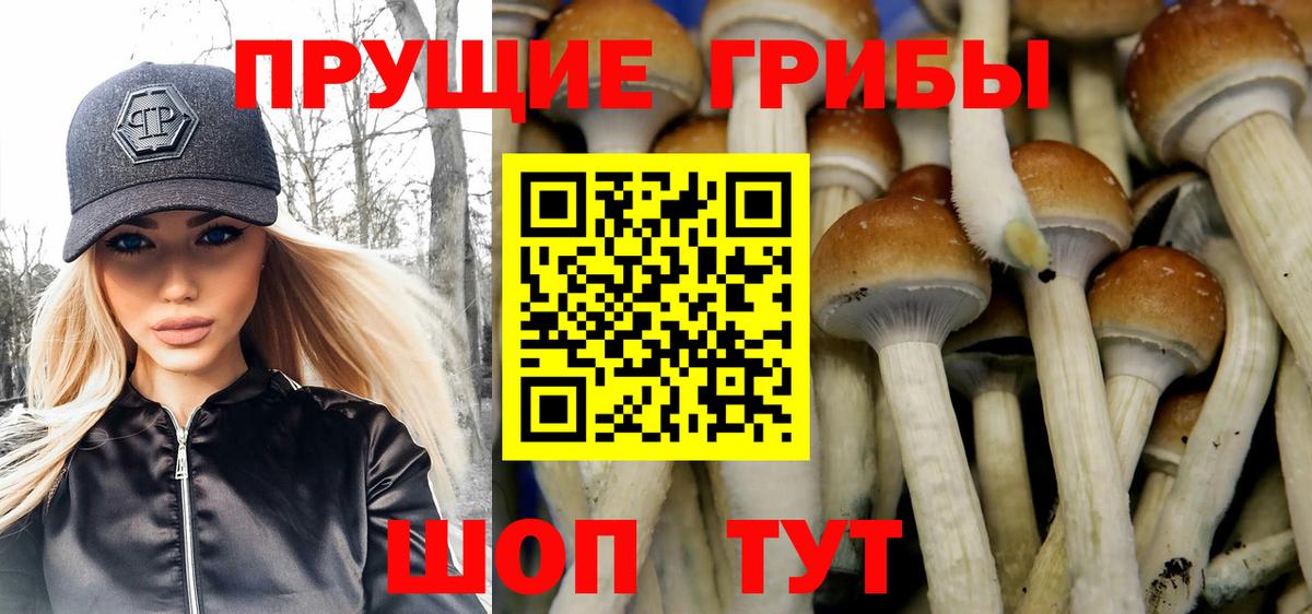 Псилоцибиновые грибы мухоморы Стрежевой