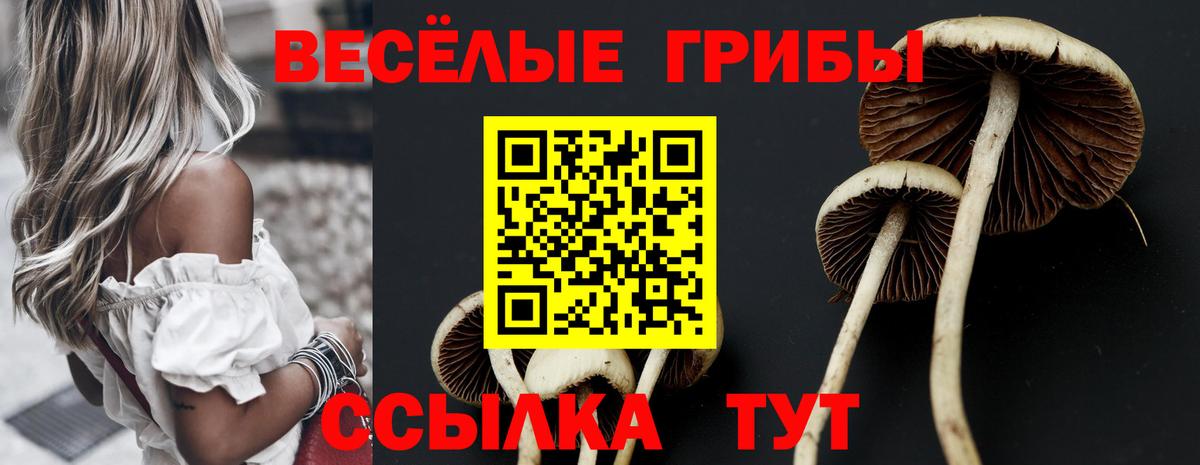 Псилоцибиновые грибы MAGIC MUSHROOMS  Вход с VPN  дарнет шоп  Стрежевой 